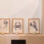 Drei gerahmte Meereslebewesen-Bilder mit Kerzen auf einer Steinbank.