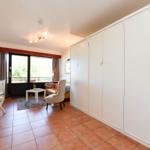 Wohnzimmer mit Schlafbereich, Terrasse und weißen Schränken.