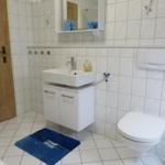 Badezimmer mit Waschbecken, Toilette und blauem Teppich