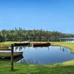 Bootshafen am See mit grünem Ufer und Wald im Hintergrund.