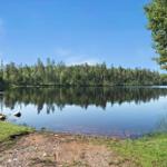 Seeufer mit Holzsteg und Waldreflexionen im klaren Wasser.