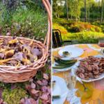 Ein Korb mit Pilzen im Wald und ein gedeckter Tisch mit Speisen im Freien.