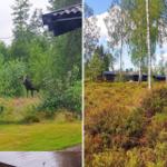 Ein Moosbeutel steht im Wald. Im Hintergrund sind Holzhäuser unter Bäumen.
