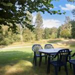 Shaded outdoor table with chairs under trees. Lawn and forest in background.