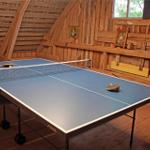 Ping pong table in rustic room with wooden walls and window