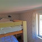 Room with bunk bed, window, and wallpaper.