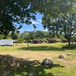Grüner Campingplatz mit Holzhütten und Wohnwagen unter Bäumen.