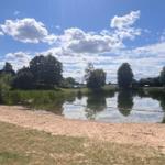 Sonniger Tag am See mit Sandstrand und grüner Umgebung.