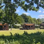 Drei Holzhäuser mit Terrassen stehen auf grünem Rasen unter Bäumen.