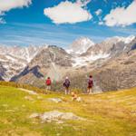 Sport / Aktivitäten