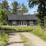 Ein schwarzes Haus mit weißen Fenstern und einer Terrasse im Grünen.