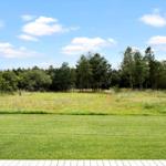 Durch die offene Tür blickt man auf eine grüne Wiese und einen Wald unter blauem Himmel.