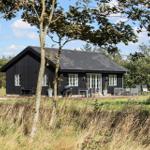 Schwarzes Haus mit Terrasse und Garten unter Bäumen.