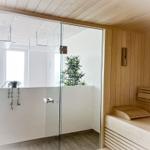 Sauna with wooden bench and glass wall. Plants and window visible.