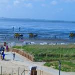 Beach with horse-drawn carriages, riders, and visitors. Dune area with beach chairs.