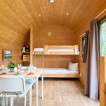 Holzhaus mit Schlafcouch, Esstisch und TV. Fenster mit Blick auf Grün.