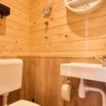Badezimmer mit Holzwand, Toilette, Waschbecken und Spiegel