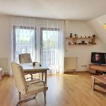 Wohnzimmer mit Schlafbereich, Tisch, TV und Balkonansicht.