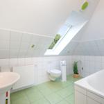 Badezimmer mit Dusche, Badewanne und Dachfenster
