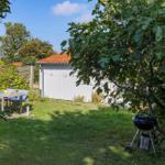 Backyard with table, grill, and fig tree. White cabin with red roof.