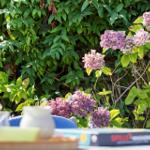 Table with toys and flowers in the garden