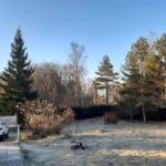Frosted yard with pine trees, a parked car, and a fire pit.