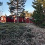 Rotes Holzhaus in Wald mit Frostbedecktem Boden