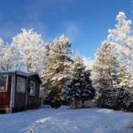 Rotes Holzhaus mit schwedischer Flagge, umgeben von schneebedeckten Bäumen unter blauem Himmel.