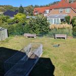 Grüner Garten mit Banken, Schuppen und Rollstuhlgang.