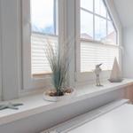 Blick aus dem Fenster mit Blick auf Dächer und Himmel. Auf dem Fensterbrett steht eine Pflanze und Dekoration.