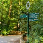 Wegweiser im Wald zeigt Richtungen zu Strand, Kino und Pension.