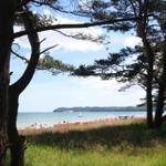 Blick durch Bäume auf Strand mit Segelboot und Strandkörben.