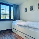 Schlafzimmer mit Bett, Fenster und Bildern an der Wand.