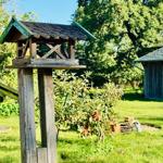 Höhenlage mit Vogelhaus, Obstbaum und Gartenhaus im Hintergrund.
