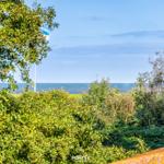 Meerblick durch grüne Vegetation mit Flagge im Hintergrund.