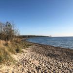 Strand mit Sand, Gras und Bäumen am Wasser.
