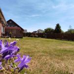 Grüner Garten mit Blumen und Holzzaun im Hintergrund.