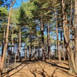 Kletterpark Wernerwald