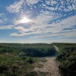 Ein sandiger Pfad führt durch grüne Wiesen unter einem blauen Himmel mit Sonne und Wolken.