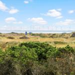 Wiesenlandschaft mit Windkraftanlagen am Horizont und blauem Himmel.