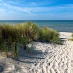 Sanddünen mit Strandgras und Blick auf das Meer.