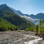 Gletscherlandschaft mit Wald und Steinfluss im Vordergrund.