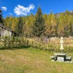 Steinbau mit Garten, Picknicktisch und Sonnenschirm in Waldnähe
