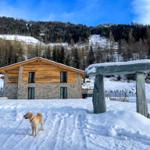 Schneebedecktes Haus mit Stein-Skulptur und Hund vor Berglandschaft.