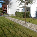 Garten mit Rasen, Kiesbeeten und Bäumen vor modernen Wohnhäusern.