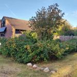 Haus mit Solaranlage, Gartenhecke und Bäumen unter blauem Himmel.