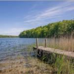 Holzsteg am See mit Ufervegetation und Wald im Hintergrund.