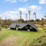 Black house with roof and windows on green ground