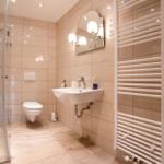 Bathroom with shower, toilet, sink, and heater.