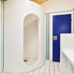 Shower with arch, blue door, and sink with plant.